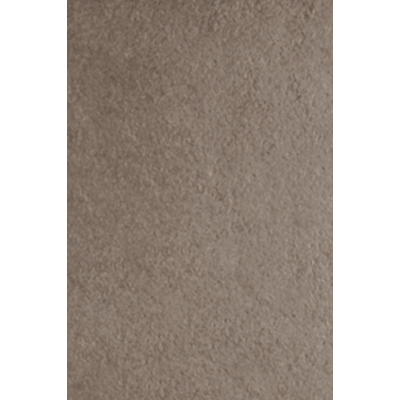 Rock & Rock Rock  &  Rock Packstone 16 X 24 Bambu Tile  &  Stone