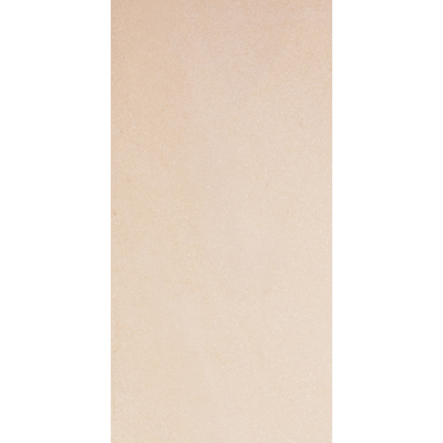 Rock & Rock Rock  &  Rock Packstone 24 X 48 Arena Tile  &  Stone