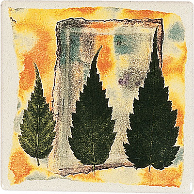Original Style Original Style Autumn Leaves 4 X 4 Birch Tile  &  Stone