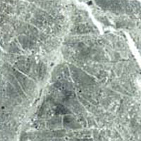 Florida Tile Florida Tile Pietra Art Tumbled Marble 3 X 6 Teos Green Tile  &  Stone