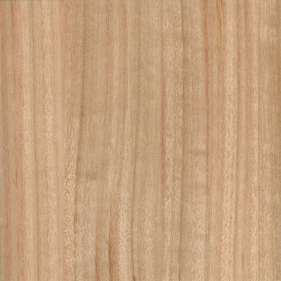 Duro Design Duro Design European Eucalyptus Natural Hardwood Flooring