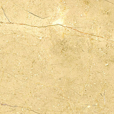Maestro Mosaics Maestro Mosaics Limestone 16 X 16 Honed Beige Fossil Tile  &  Stone
