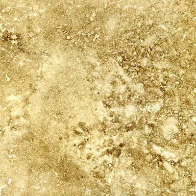 Tilecrest Tilecrest Roma 24 X 24 Noce Tile  &  Stone