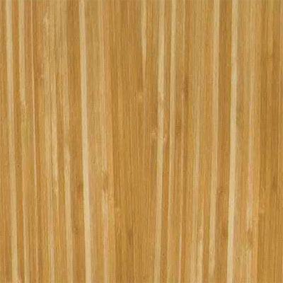 Artistek Floors Artistek Floors Centennial Plus Plank Orlando Vinyl Flooring