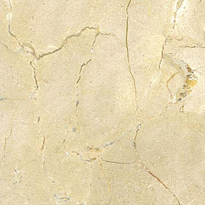 Maestro Mosaics Maestro Mosaics Marble 12 X 12 Polished Crema Marfil Tile  &  Stone