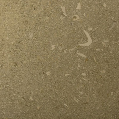 SeaStone Seastone Limestone 24 X 24 (1.5 Thick) Limestone Gray Tile  &  Stone