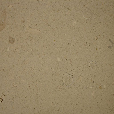 SeaStone Seastone Limestone 26 X 72 Limestone White Tile  &  Stone