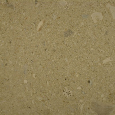 SeaStone Seastone Limestone 8 X 8 Pavers Limestone Buff Tile  &  Stone