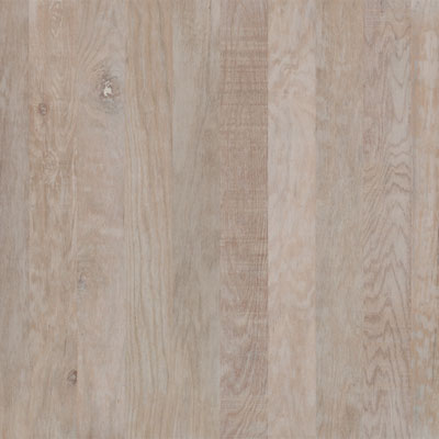 Anderson Anderson Coastal Art 5 Sand Dollar Hardwood Flooring
