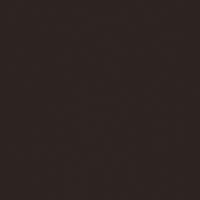 Ergon Tile Ergon Tile Basic Polished Finish 12 X 24 Black Tile  &  Stone