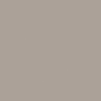 Ergon Tile Ergon Tile Basic Natural Finish 24 X 24 Silver Gray Tile  &  Stone
