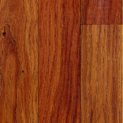 Pergo Pergo Elegant Expressions Designer Series 8 W / underlayment Renaissance Bordeaux Laminate Flooring