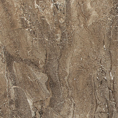 American Olean American Olean Torre Venato 9 X 12 Noce Tile  &  Stone