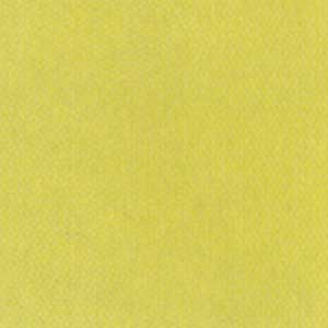 Daltile Daltile Natural Hues 8 X 8 Kiwi Tile  &  Stone