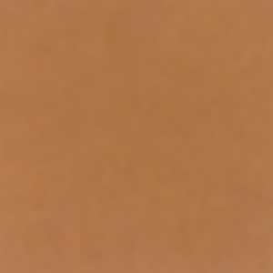 Daltile Daltile Natural Hues 8 X 8 Latte Tile  &  Stone