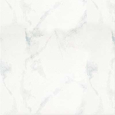 Portobello Portobello Marmi 18 X 18 Carrara Bianco Tile  &  Stone