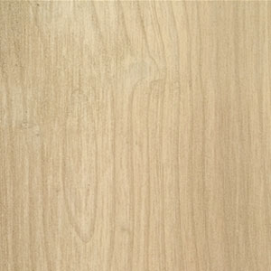 Virginia Vintage Virginia Vintage Olde Paint Oyster Hardwood Flooring