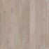 Anderson Coastal Art 5 Sand Dollar Hardwood Flooring